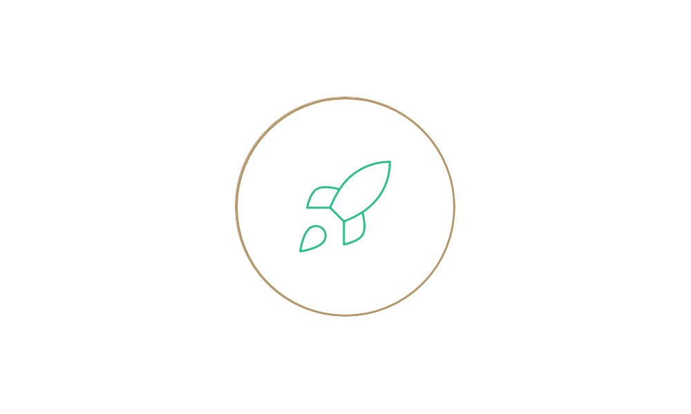 rocketship icon